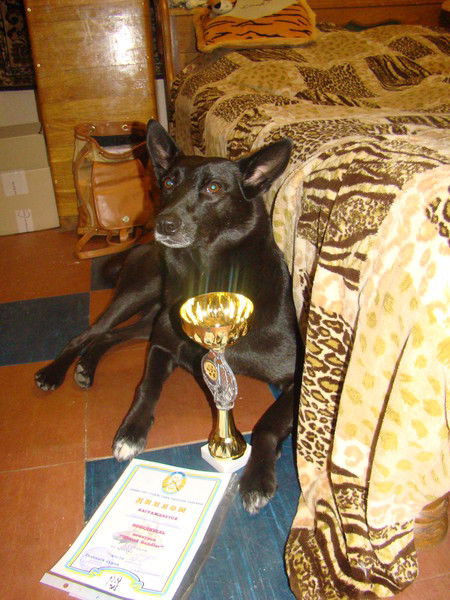 Мария Журавлева