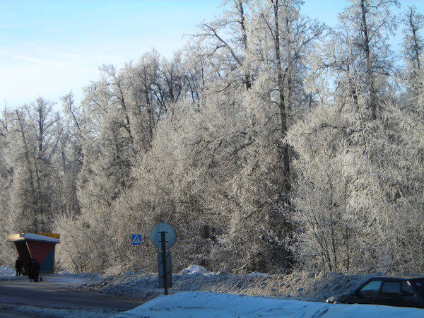 Ольга Мигушова