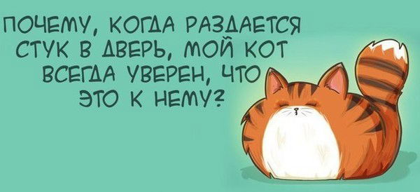 Маленькая Кися