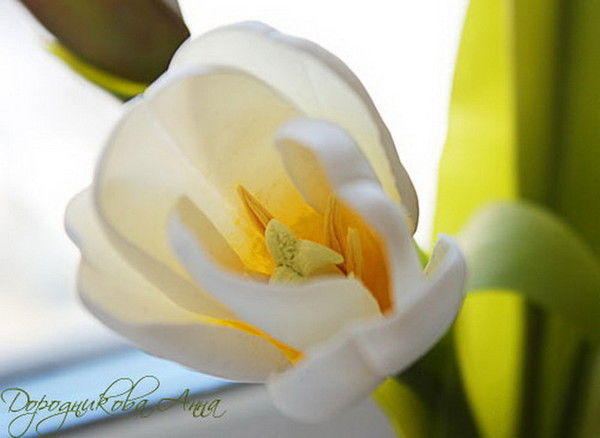 Сания Сарсенова