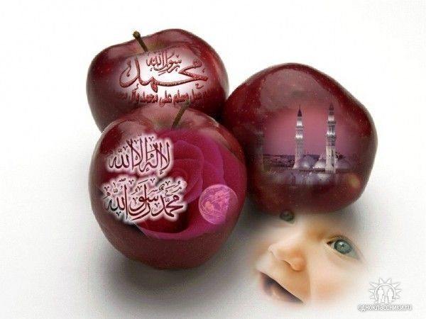 Зульфия Ахмедова