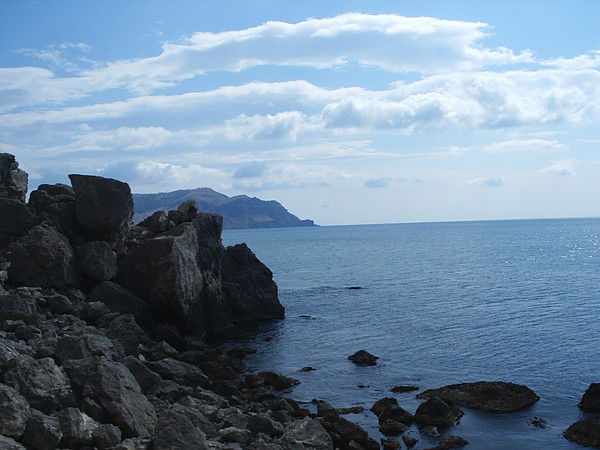 Светлана Комлева