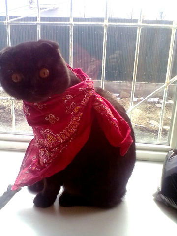 Марина Доронина