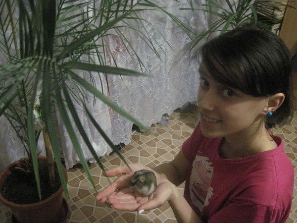 Яна Косарева