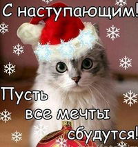 Виолетта Вельш