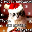 Виолетта Вельш