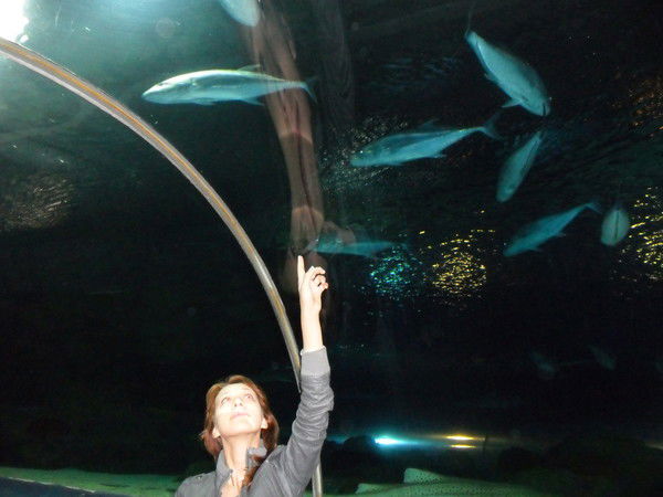 Венера Ахтямова