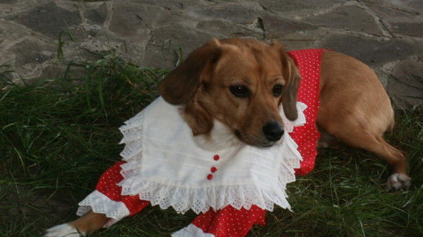 Ричард Аксютин