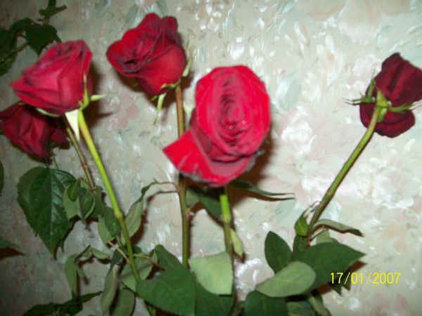 Александра Муклинова