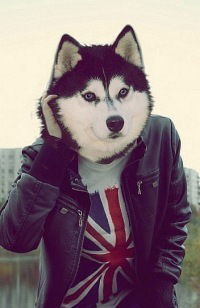 Настя Пуровская