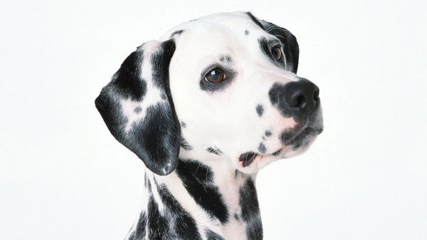 Станислав Сенюшкин