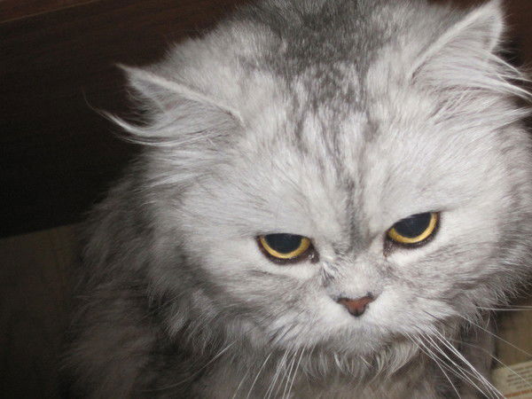 Ольга Морыженкова