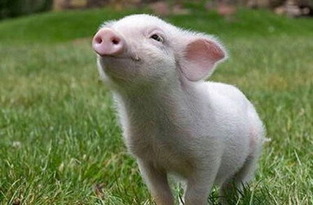 Ольга Аноприева