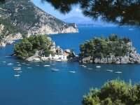 Надежда Конева