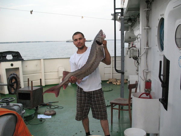 Владимир Огромов