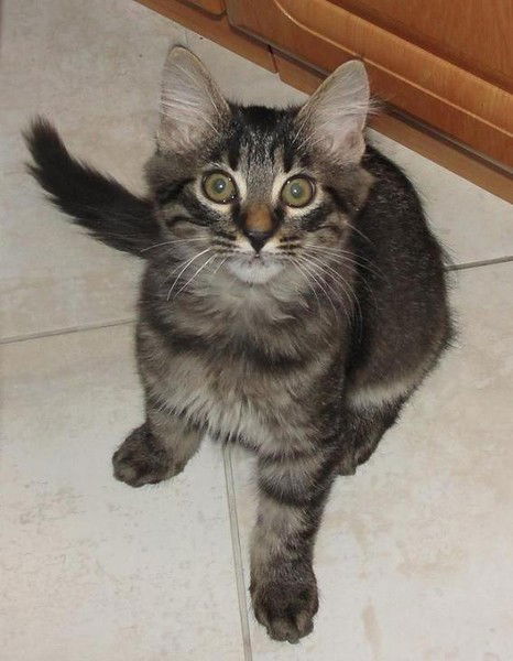 Алёна Крицкая