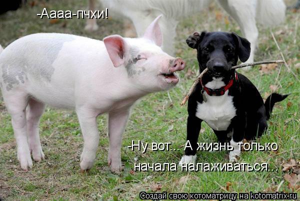 Селиванов Алексей