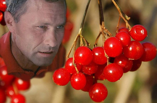 Александр Клондайк