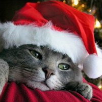 Рамазан Меремуков