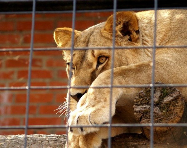Татьяна Байдецкая