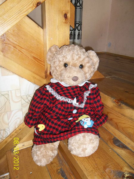 Александр Платохонов