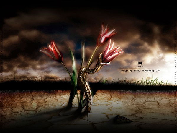 Раджи Муалим