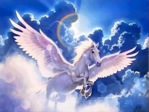 София Кондратьева