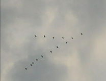 Андрей Иордан