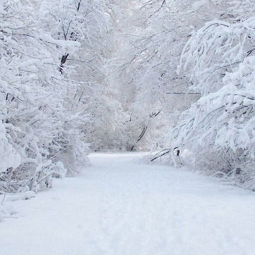 Лариса Локтева