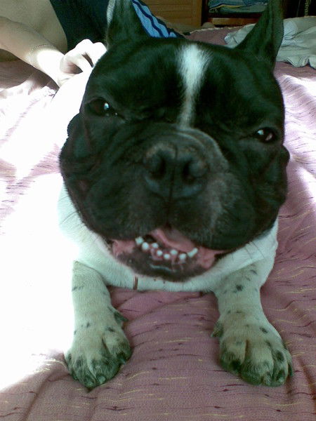 Алексей Аниськин