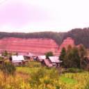 Николай Долгин