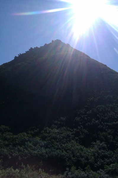 Полина Кустышева