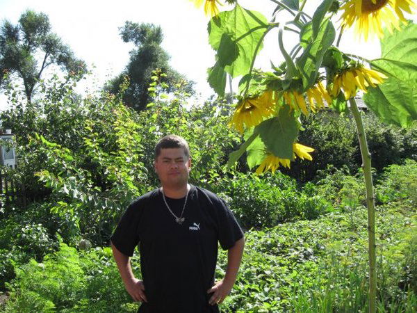 Артём Шаклеин