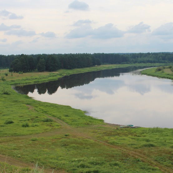 Колесова Татьяна