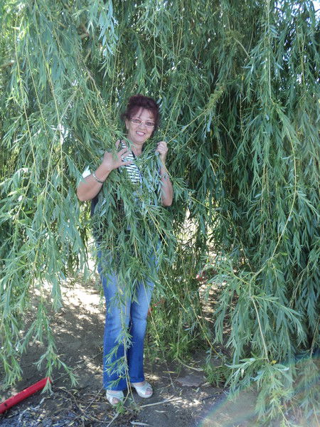 Римма Богатова