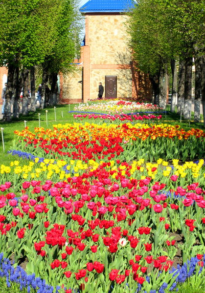 Наталия Панишко