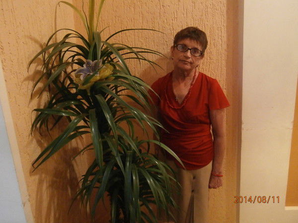 Татьяна Тимохина (Шушпанова)