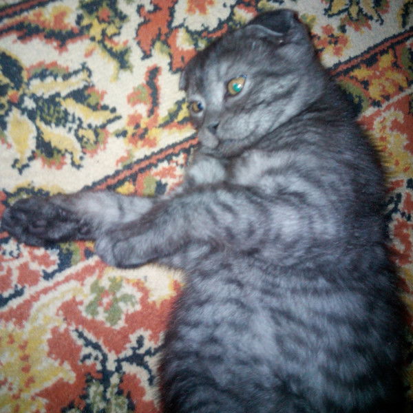 Виталий Жуков