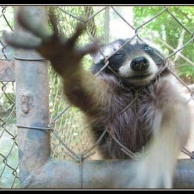 Валерия Кравченко