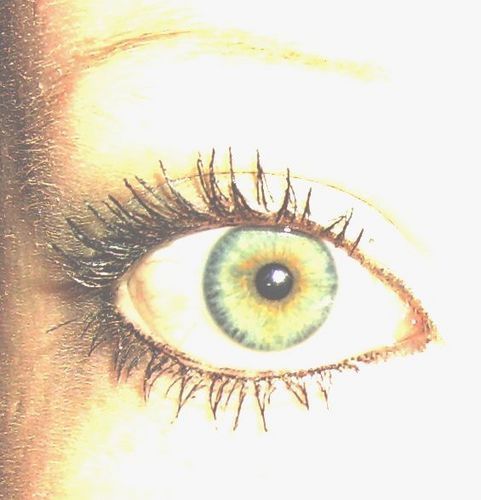 Дарья Жукова