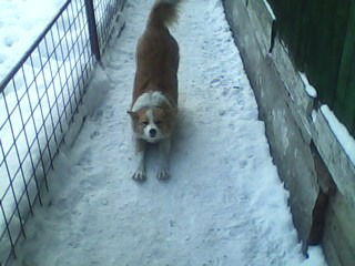 Андрей Клевакин