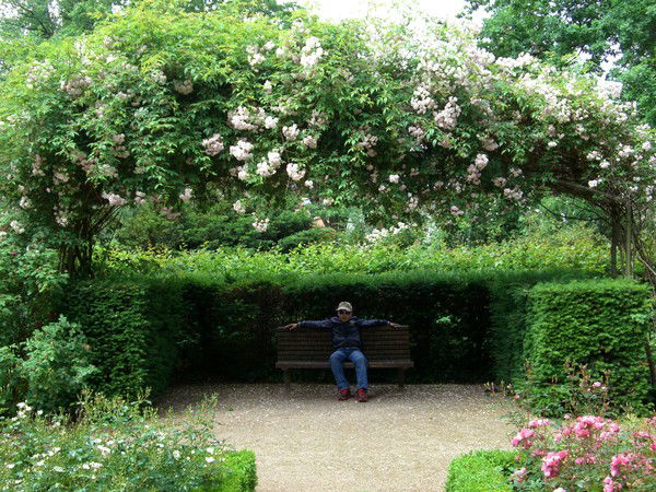 *** *** *** *** *** ***