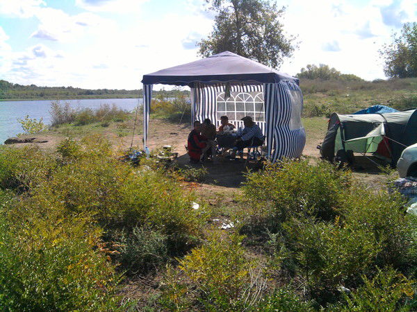 Николай Шешенев