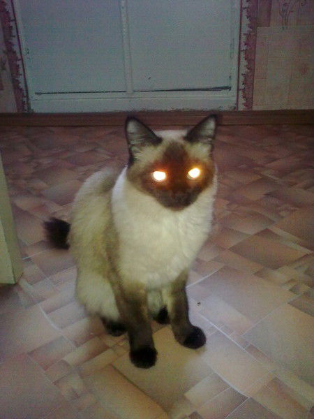 Катюша Бурашникова