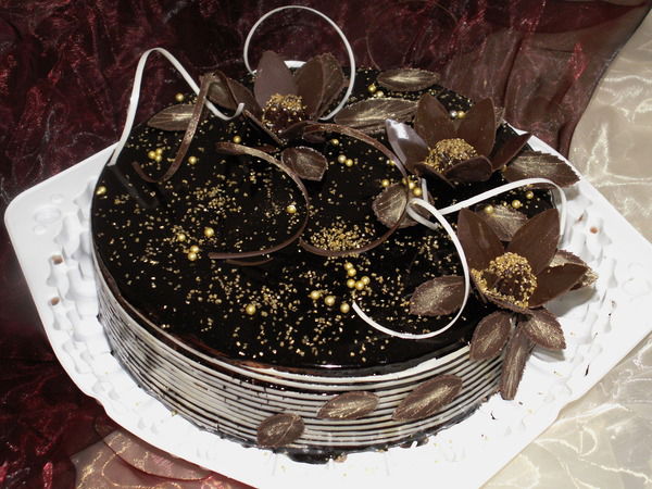 Наталья Вдовина