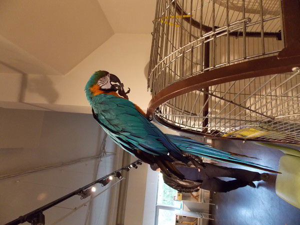 Анна Серегина