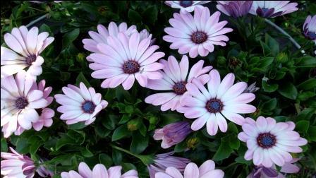 Марина Листопадова