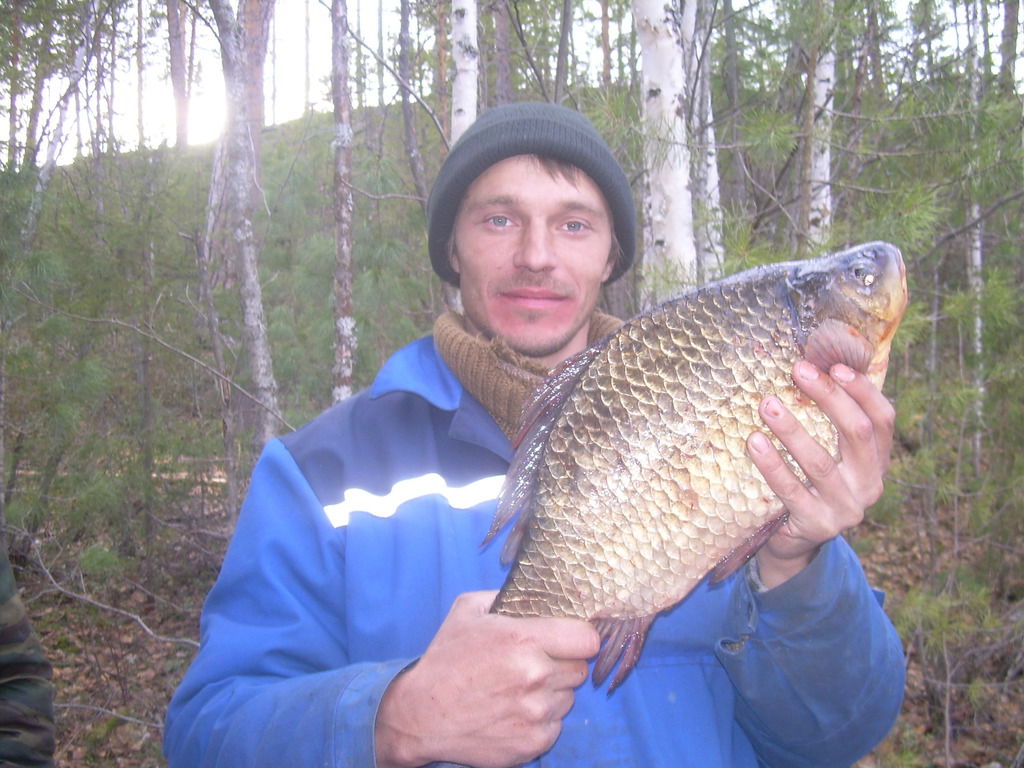 Александр Носков