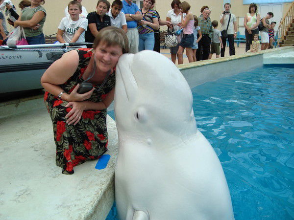 Светлана Орлова