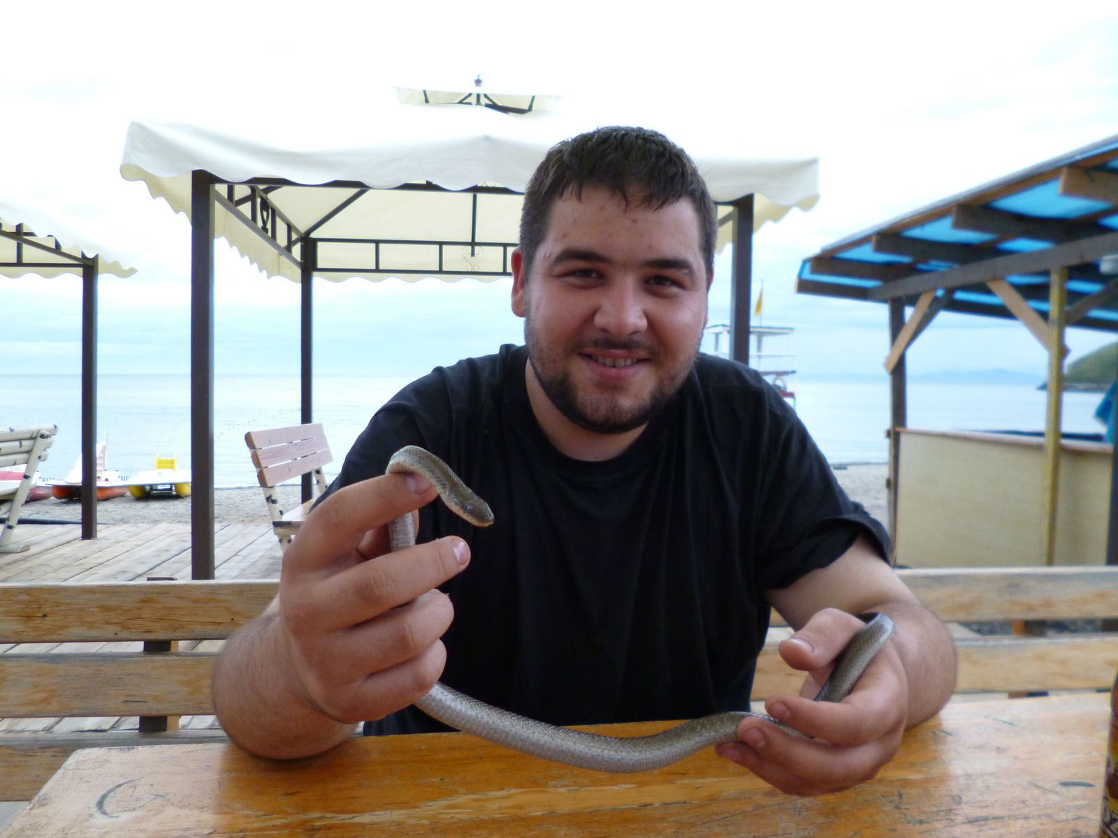 Константин Степанов